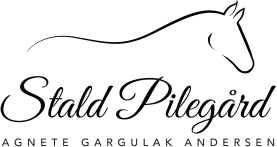 Logo - placeholder